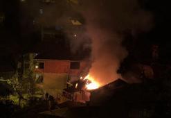 Yanan evden mahsur kalan papağanı itfaiye kurtardı