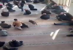 Camiye giren pitbullun sahibine adli ve idari işlem yapıldı