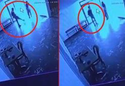 Belediyeye ait tesiste kediye tekmeli müdahale kamerada