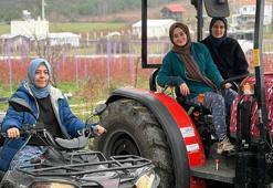 Kentten kırsala dönüp yaban mersini yetiştiren kadınlar, hemcinslerinin de bütçelerine katkı sağlıyor