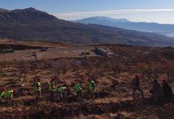Gabar'da fidan dikim seferberliği
