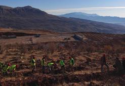 Gabar'da fidan dikim seferberliği