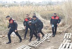 Aranan hükümlü sazlıkta yakalandı