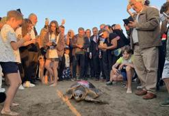 Caretta caretta 'Cumhuriyet'i 9 bin kişi izledi