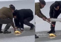 Donan göletin yüzeyindeki buzu motorlu testere ile kesti