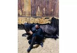 2,5 yıldır gözü gibi baktığı atını kaybetti, hikayesini kitaplaştırdı