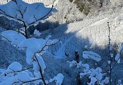 ‘Yüksek kesimlerdeki kar yağışı fındığa yaradı’
