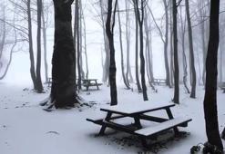 Kartepe’de kar manzarası