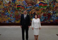 Cumhurbaşkanı Yardımcısı Yılmaz, Azerbaycan Milli Meclis Başkanı Gafarova ile görüştü