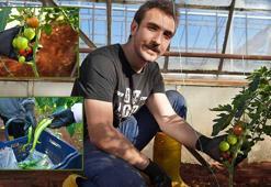 Üniversiteden sofraya