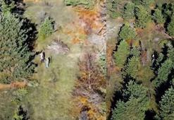 Dron ve fotokapan destekli doğa koruma denetimi; 4 kişiye işlem yapıldı