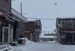 Ordu'nun yüksek kesimlerinde kar yağışı