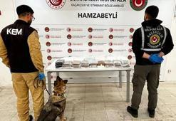 Gümrüklerde rekor; 33 ton 198 kilo uyuşturucu ele geçirildi