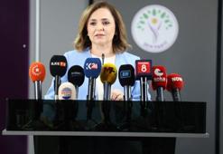 DEM Parti'li Doğan: Silah bırakan herkes düzenleme kapsamına girmeli