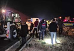 Malatya'da milyonluk yarış tayları çiftlikten kaçtı; 8'i öldü, bazıları kayıp