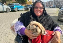 Yürüme yetisi sonrası eşini de kaybetti; can dostu 'Fıstık' ile hayata tutundu