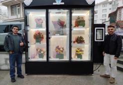 Haymana'da seralarda termal su destekli çiçek yetiştirilecek