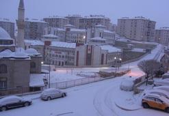 Yüksekova'da kar yağışı etkili oldu