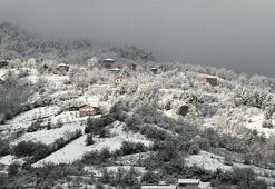 Bartın'da kar yağışı nedeniyle 5 köy yolu ulaşıma kapandı