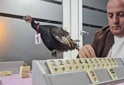 48 yıllık gelenek bozulmadı: Amatör futbol kulübünden ‘baba hindi’ ödüllü okey turnuvası