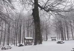 Kuzuyayla Tabiat Parkı’nda kar manzarası