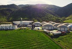 ARF Bio’nun halka arzına 4 kata yakın talep geldi