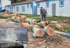 Zonguldak'ta kuvvetli rüzgar; 90 yaşındaki çınar ağacı devrildi