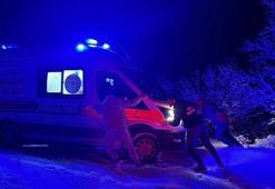 Hasta taşıyan ambulans yoldan çıktı; kamyonet sürücüsü kurtardı