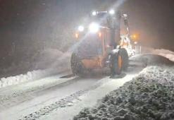 Siirt-Bitlis kara yolu, kar nedeniyle ağır tonajlı araçların geçişine kapatıldı