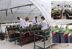 Öğrencileri olumsuz hava şartlarından korumak için fakültenin terasına sera kurdu