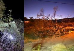 Mersin'de şiddetli rüzgar nedeniyle asırlık meşe devrildi, evin çatısı uçtu