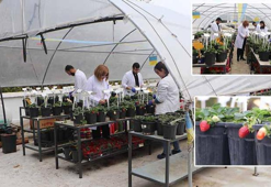 Öğrencileri olumsuz hava şartlarından korumak için fakültenin terasına sera kurdu