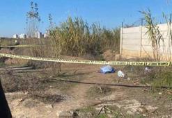 Adana'da yol kenarında kadın cesedi bulundu