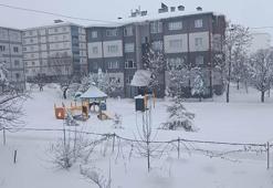 Bitlis’te 203 köy yolu açıldı