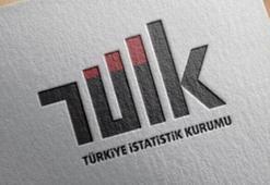 TÜİK: Hizmet ihracatının yüzde 62,3'ünü 2023'te büyük ölçekli girişimler yaptı