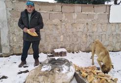 Hayvanlara yaz-kış su ve ekmek taşıyor