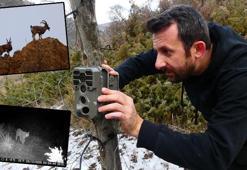 Aile hekimi, fotokapanlar ve dronla yaban hayatını takip ediyor