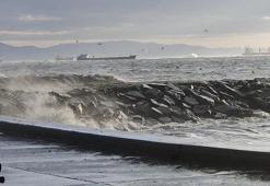 İstanbul'da bazı vapur seferleri iptal edildi