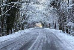 'Ağaç tünel yol'da beyaz güzellik