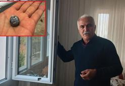 Kahvaltı yaptıkları odanın penceresine domuz kurşunu isabet etti