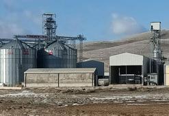 TMO'yu 500 milyon TL dolandıran depo sahibi, yurt dışına kaçtı; 9 çalışan gözaltında