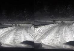 Kardan kapanan yolda çalışma yapan ekipler, 4 ayıyla karşılaştı