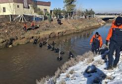 3 çocuğun öldüğü kazada kanalda kaybolan sürücüyü arama çalışmalarında 3’üncü gün