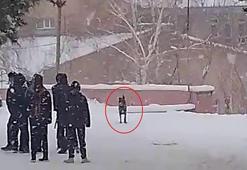 Okul bahçesine giren kurt köpeği öğrencilere saldırdı; 3 yaralı