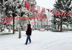 Sakarya'da vatandaşlar, yeni yıla karla uyandı