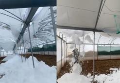 Siirt’te kar nedeniyle seralar çöktü, cami girişindeki çatı yıkıldı