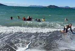 Muğla'da yardıma muhtaç çocuklar ve hayvanlara destek için denize girdiler