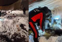 Siirt’te karın ağırlığıyla 3 ahırın çatısı çöktü; çok sayıda hayvan öldü