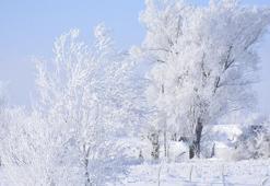 Sivas buz kesti; 227 yerleşim yeri yolu kapalı