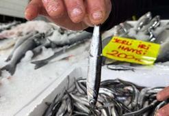 'Karadeniz’de yoğun av baskısı sonucu hamsi Gürcistan’a göç etti'